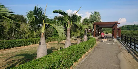 塭子頭紅樹林生態保護區