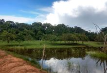 Balneário Natureza景点图片