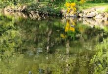 Lake Sawyer Regional Park景点图片
