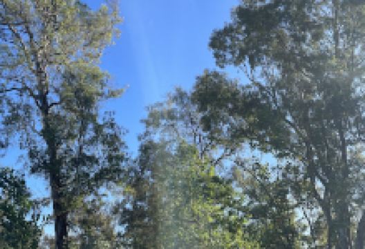South Lane County Park景点图片