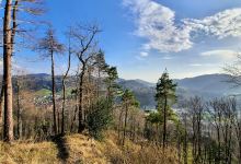 Wanderweg Altlandenberg景点图片