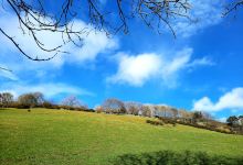 Ladhope Recreation Ground景点图片