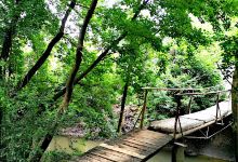 Shevchenko Park景点图片