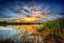 RSPB Ouse Fen Reserve景点图片