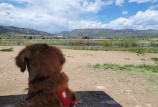 Granby Dog Park景点图片