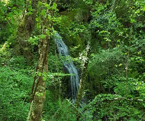 "A Marronda" Natural Park