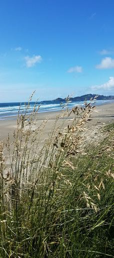 Ocean Shore State Recreation Area-纽波特