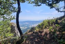 Belvédère des chamois景点图片