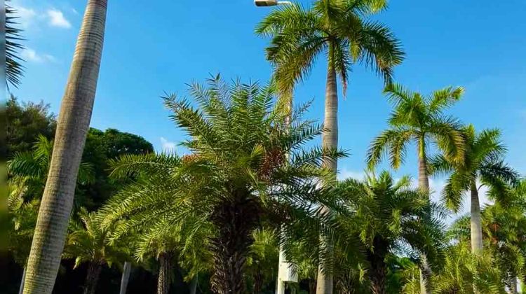 4-Day Xiamen + Gulangyu Island + Jimei School Village + Huandao Road