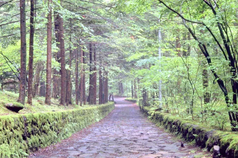 軽井沢のお土産選びでよくある質問