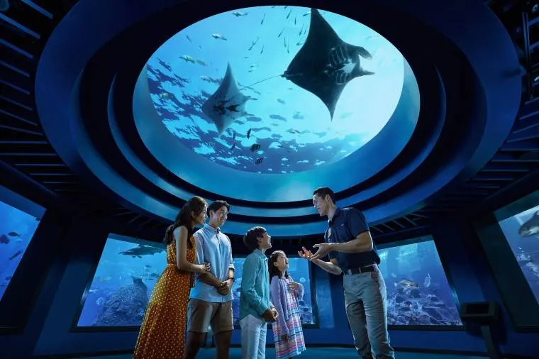 SEA Aquarium VIP Experience