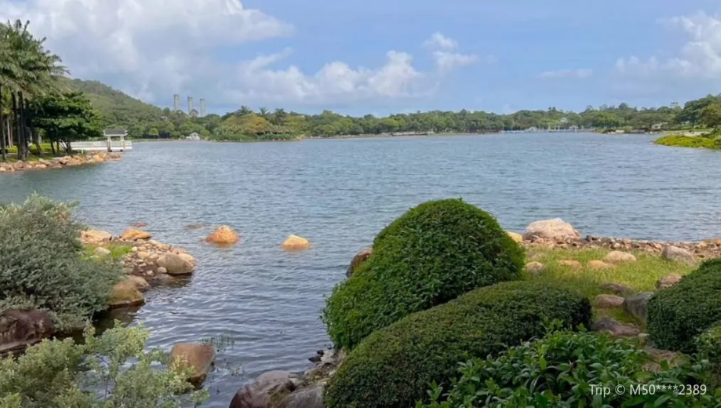 迪欣湖噴泉和腳踏船仔