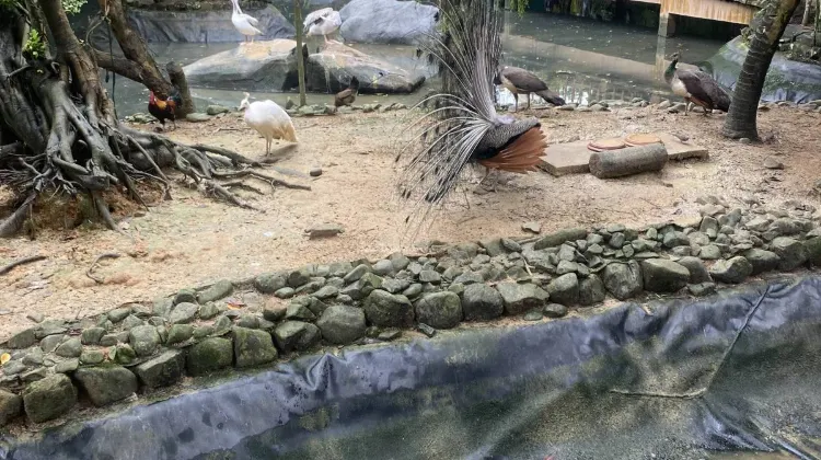 Wildlife Park Langkawi