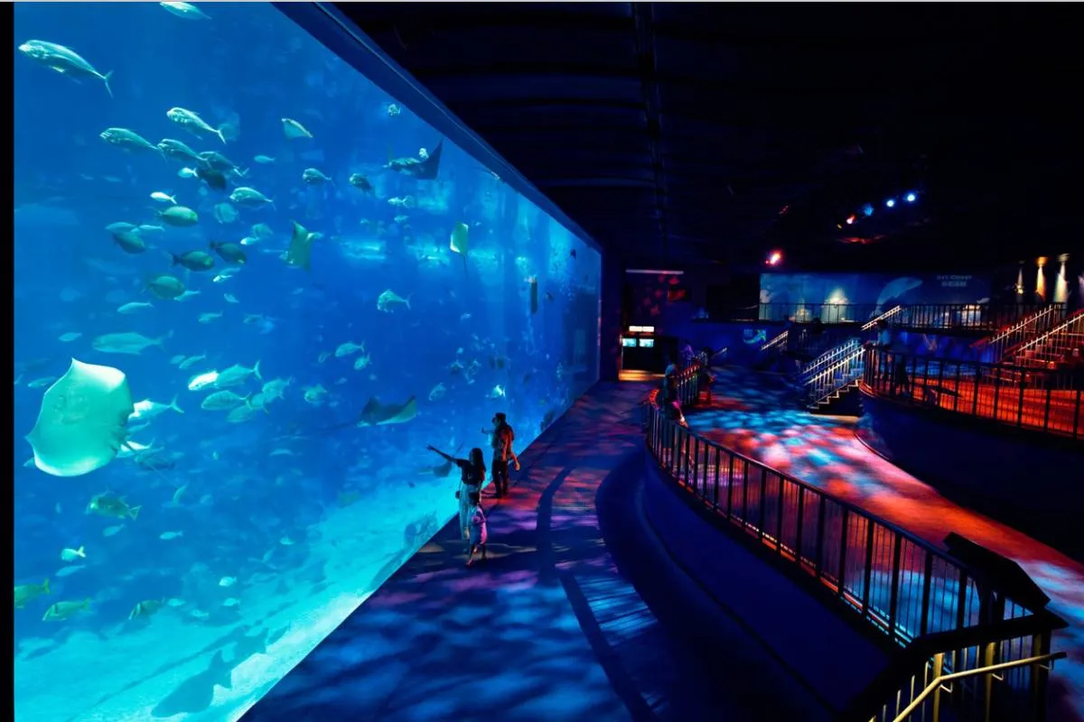 Apa itu S.E.A. Aquarium？
