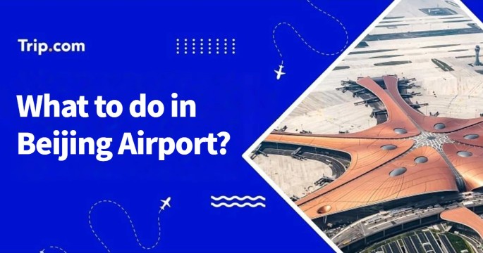 What to do in Beijing airport during a layover?