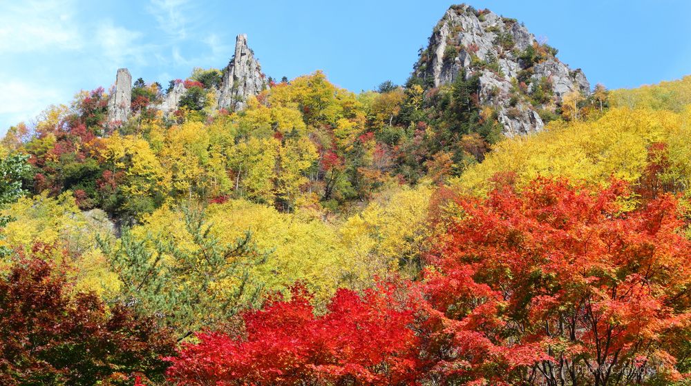 【大雪山(黒岳)】紅葉見頃時期-9月下旬~10月中旬