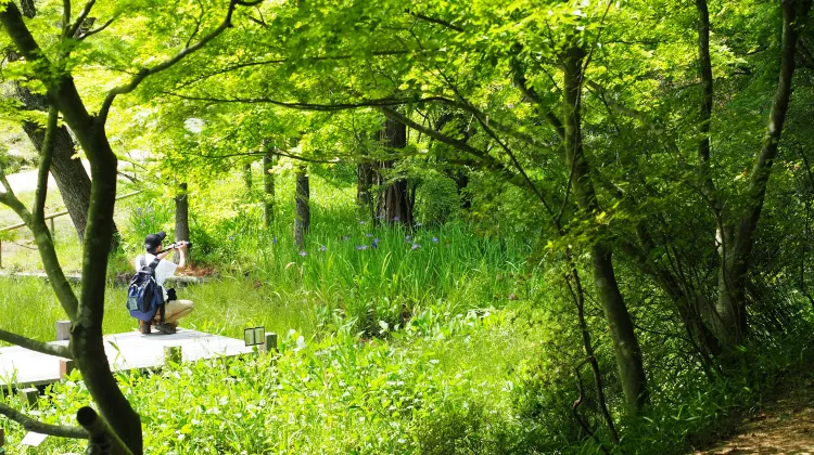 6. 神戸市立森林植物園