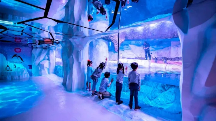 Things to do in Bangkok #3: SEA LIFE Bangkok Ocean World