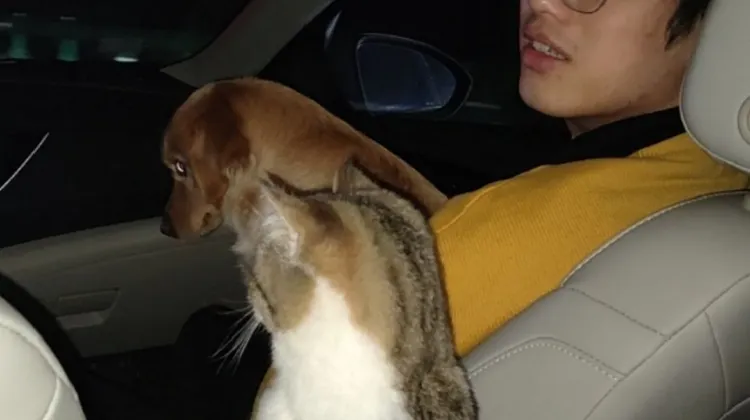 Learning to pack effectively is essential to having a smooth and enjoyable vacation anywhere!