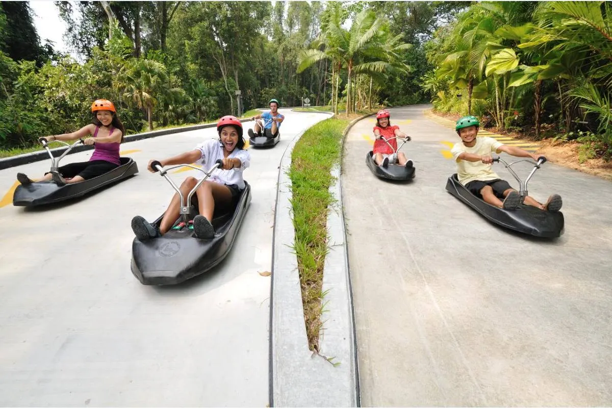 Ride the luge tracks