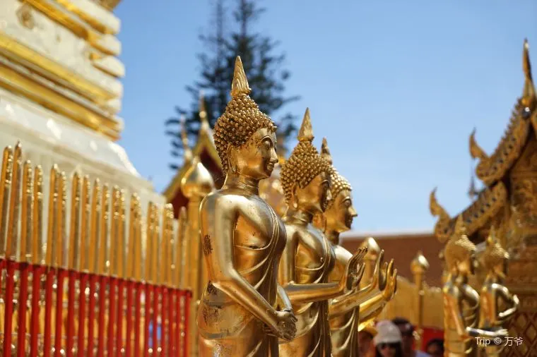 วัดพระธาตุดอยสุเทพราชวรวิหาร