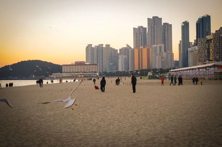 釜山旅行の費用