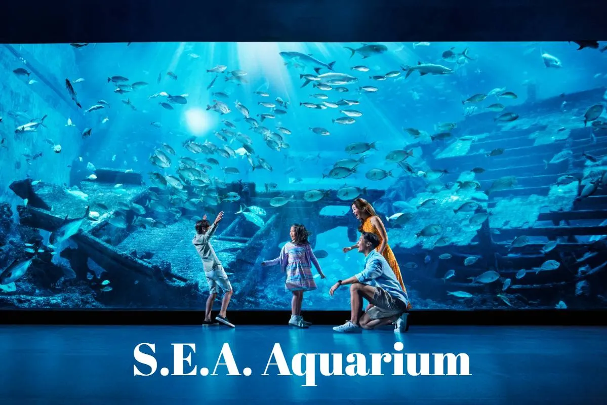 Tiket S.E.A. Aquarium Terjangkau dari Trip.com