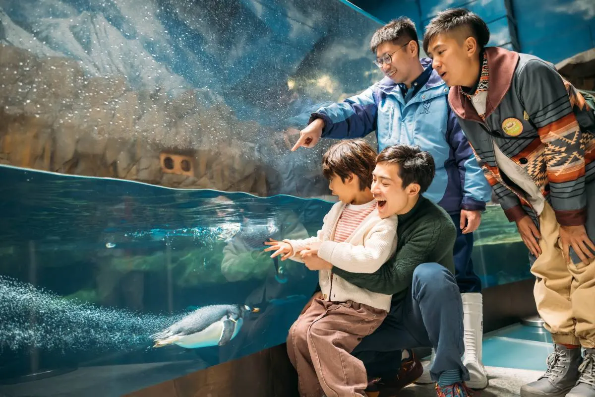 3.Tempat Wisata di HongKong-Ocean Park Hong Kong