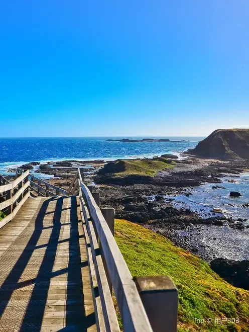 10. Tempat Wisata di Australia-Phillip Island