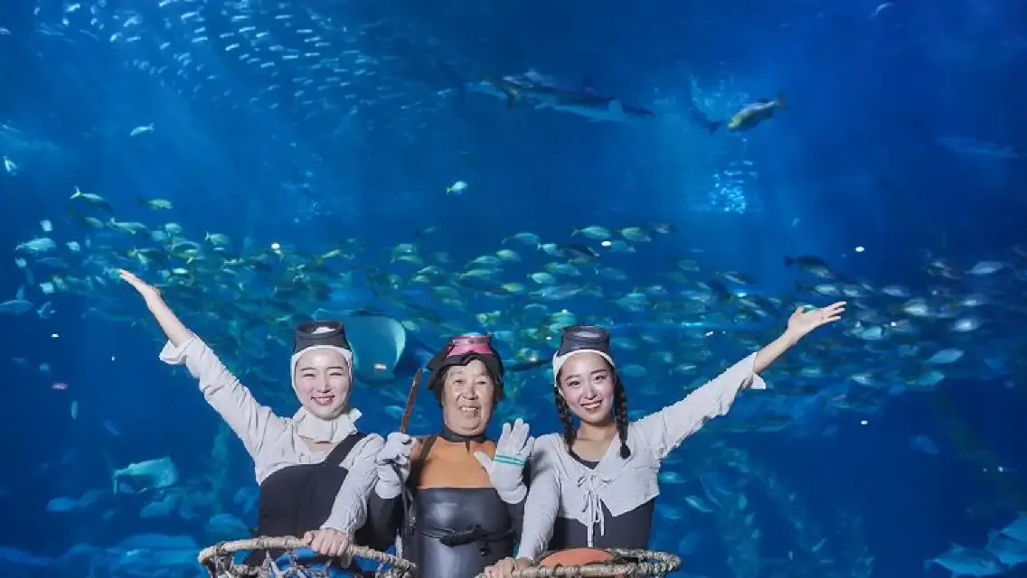濟州島 Aqua Planet 水族館