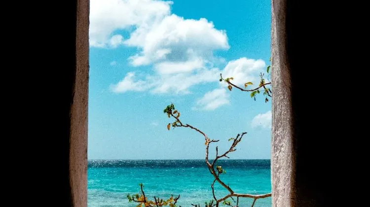Pink Beach, Bonaire (South America)