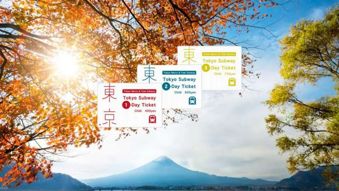 Tokyo METRO subway ticket + Dongying subway