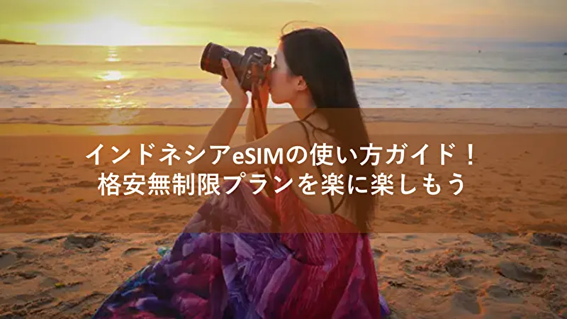 インドネシア eSIM 使い方