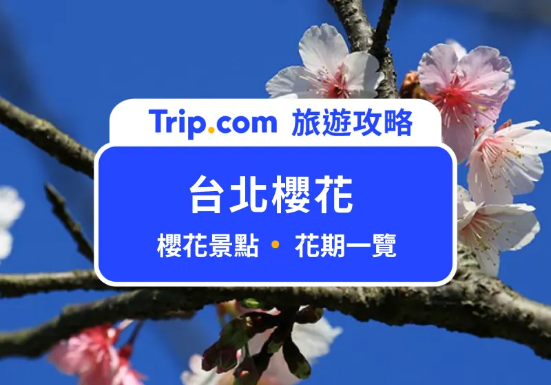 台北櫻花