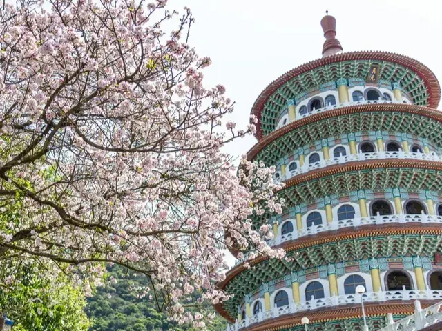 See cherry blossom in Taiwan