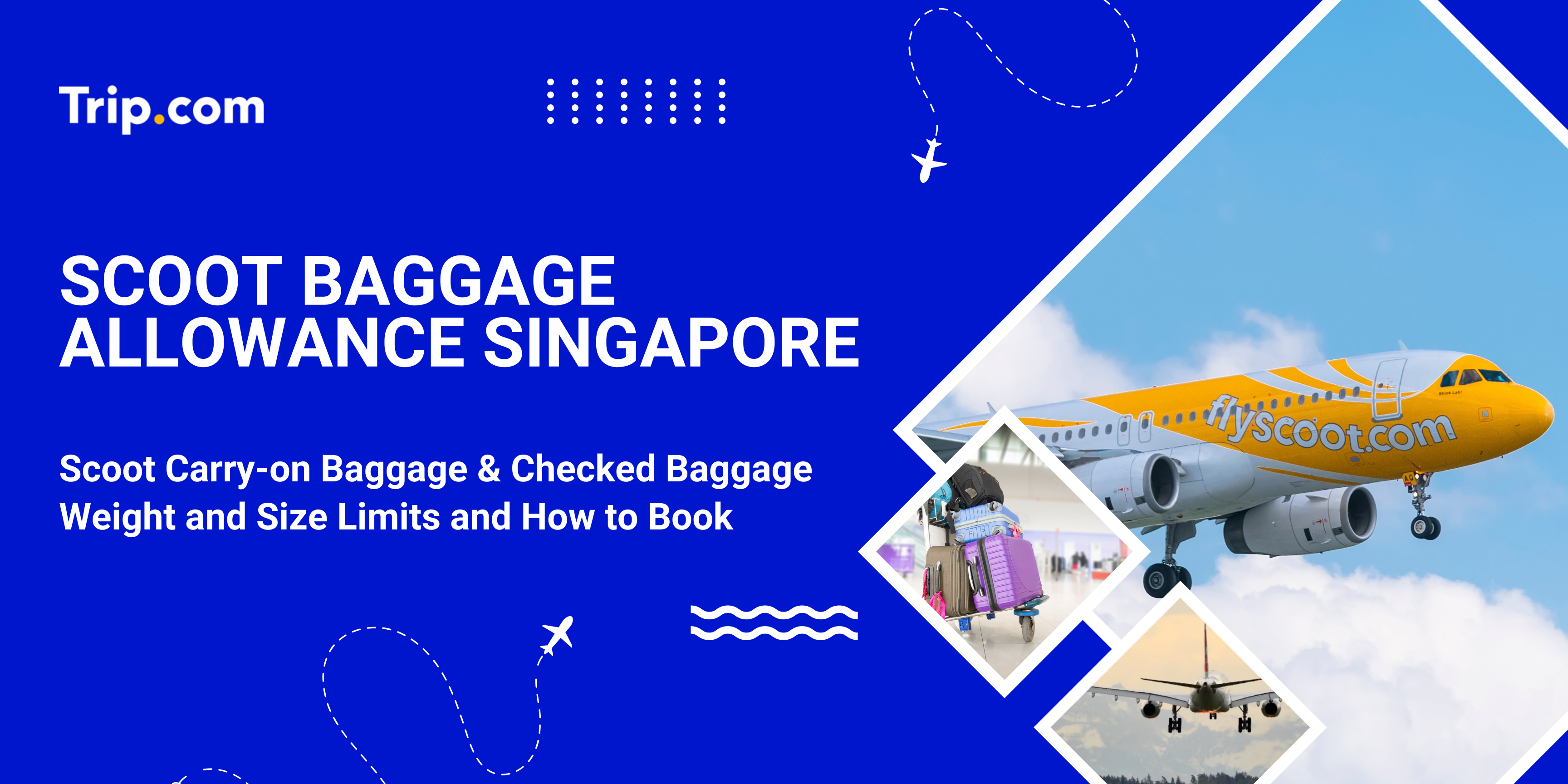 Scoot Baggage Allowance: Singapore Guide(2026) | Trip.com