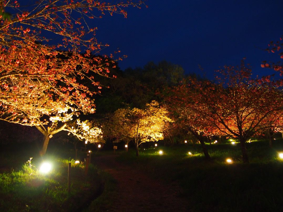 【長瀞】紅葉の見頃は10月上旬~10月下旬