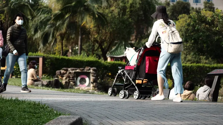 飛行機に預けられるベビーカー選び