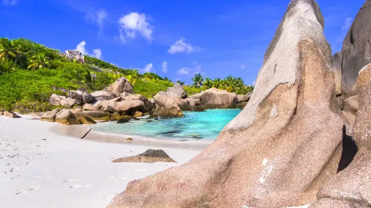 栃木旅行で心温まるお土産を見つけよう!