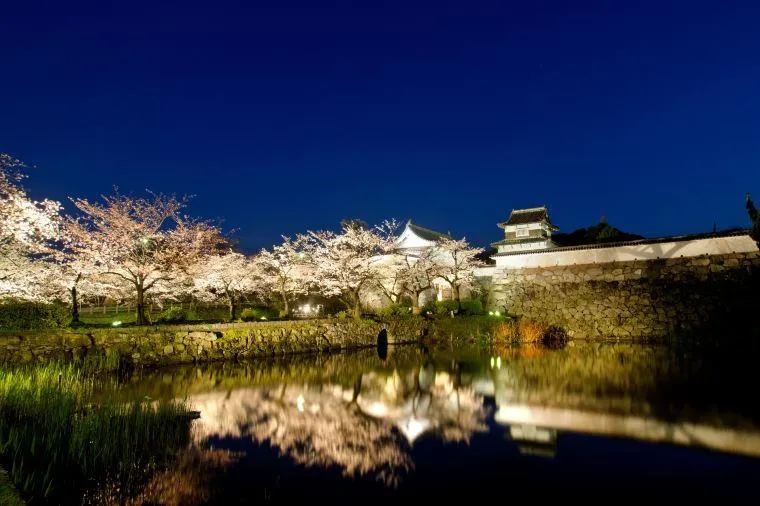 七夕情人節活動景點福岡城與舞鶴公園