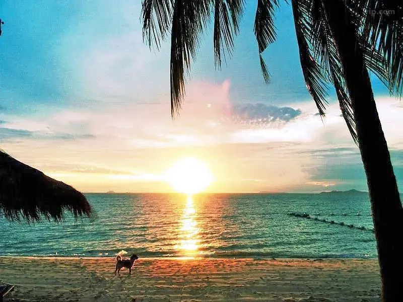 ซีฮิลล์ บูติก เรสซิเดนซ์(Sea Hill Boutique Residence)