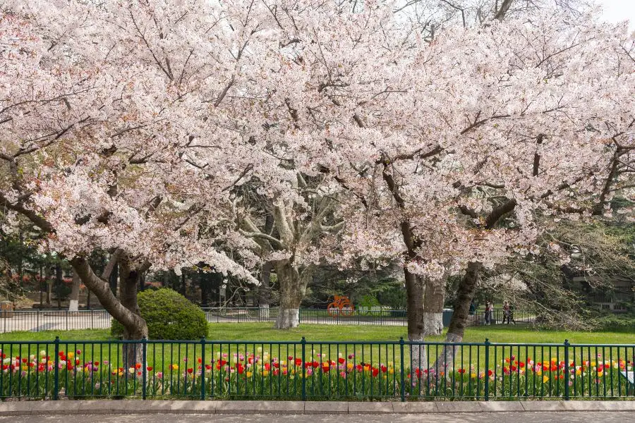 ホテルエミシア東京立川 クーポン