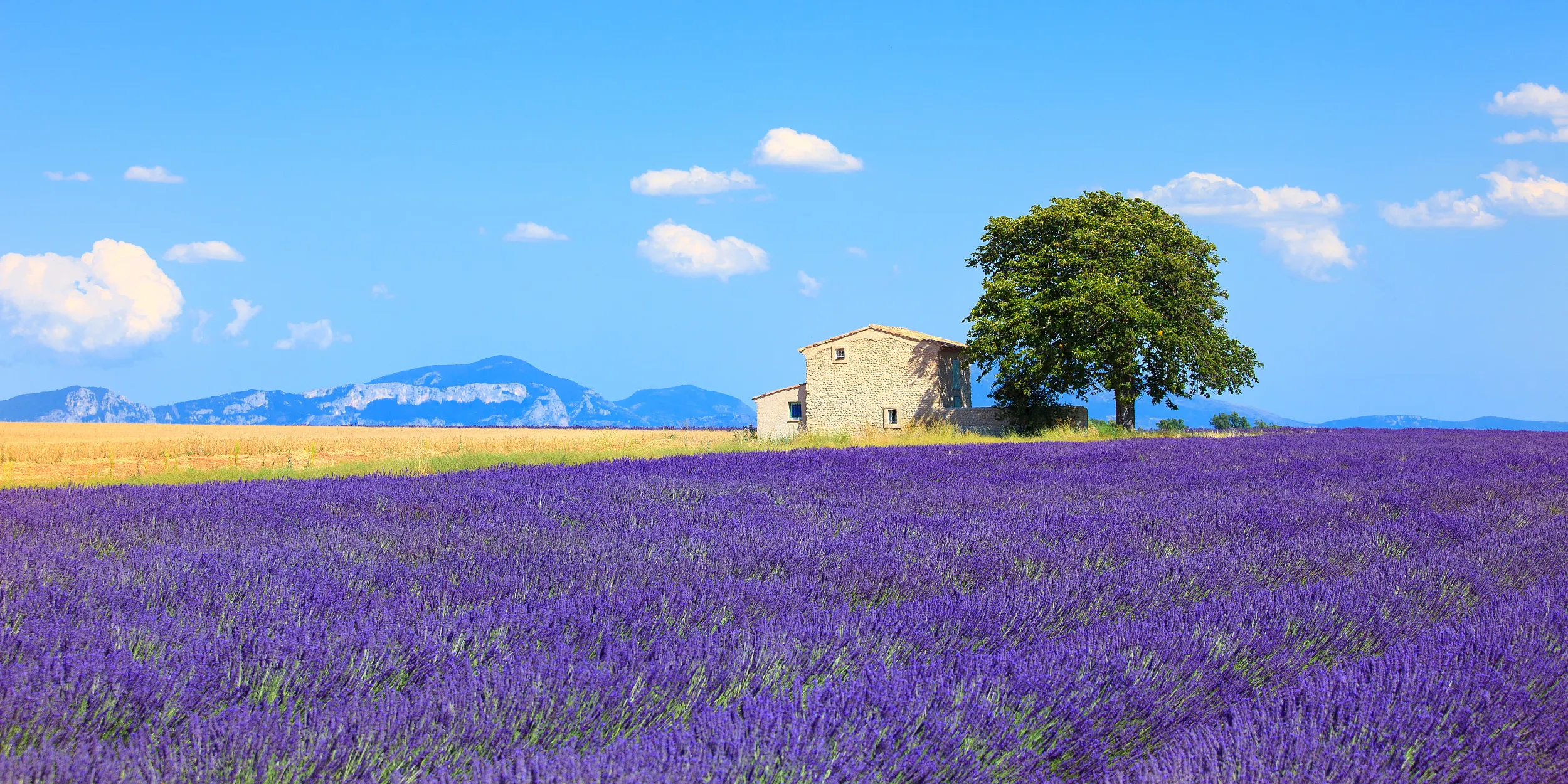 Provence, Frankreich