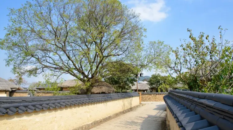 飛行機でソウルから安東へ行くことができますか？