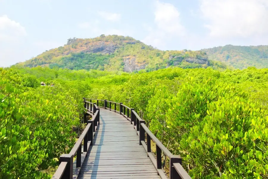 ที่เที่ยวหัวหิน#46 วนอุทยาน ปราณบุรี