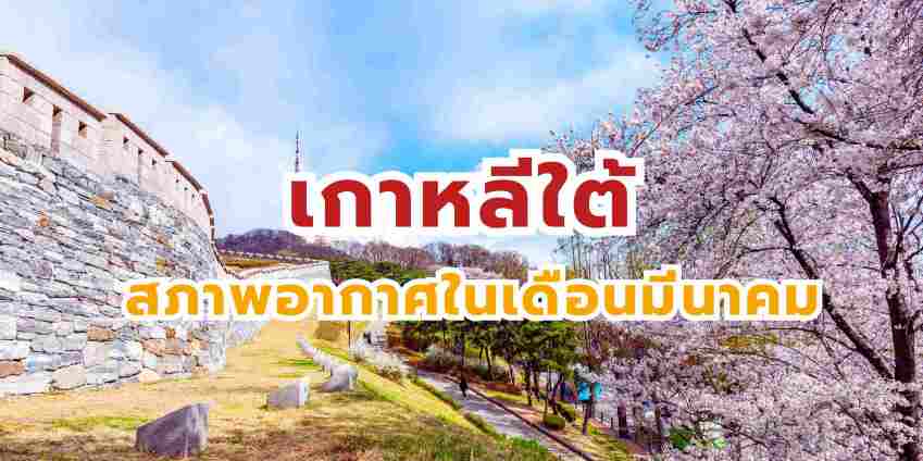 อัปเดต 2569: อากาศเกาหลีเดือนมีนาคม และเสื้อผ้าที่ต้องเตรียม | Trip.com 