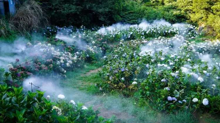 台北の年間気温について