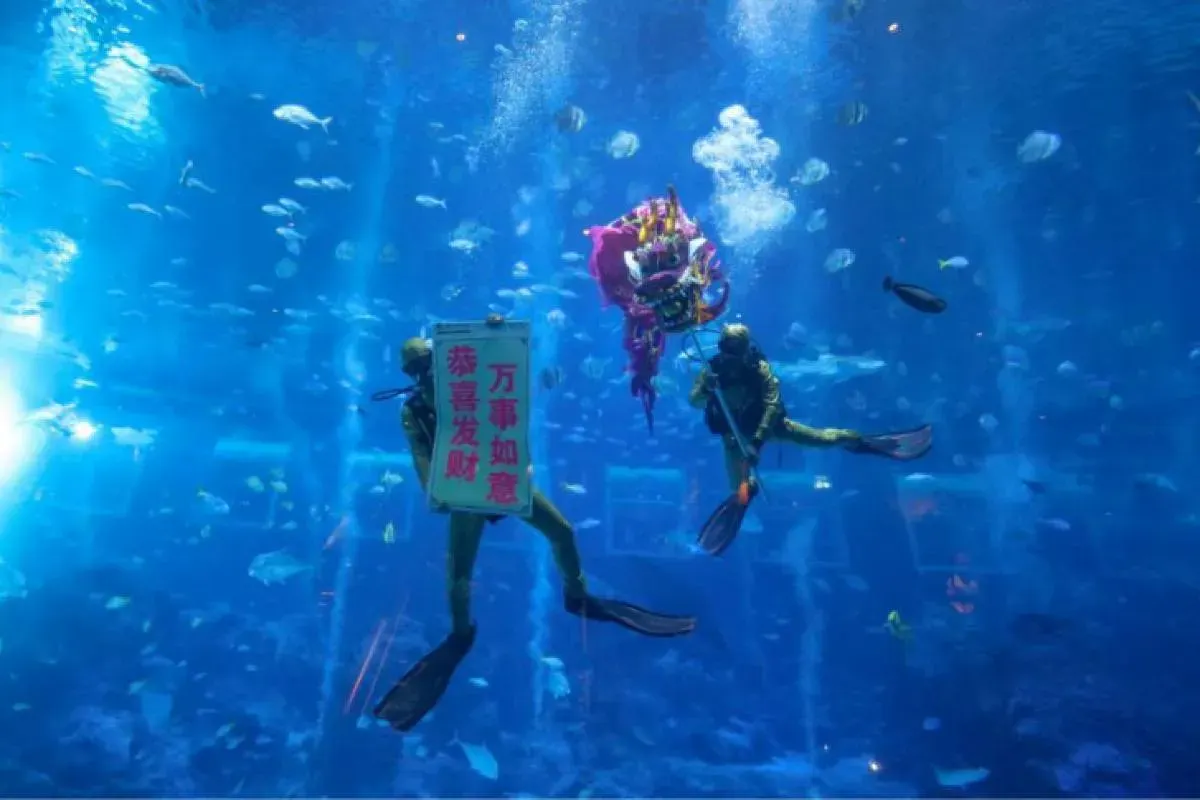 Waktu terbaik untuk pergi ke S.E.A. Aquarium