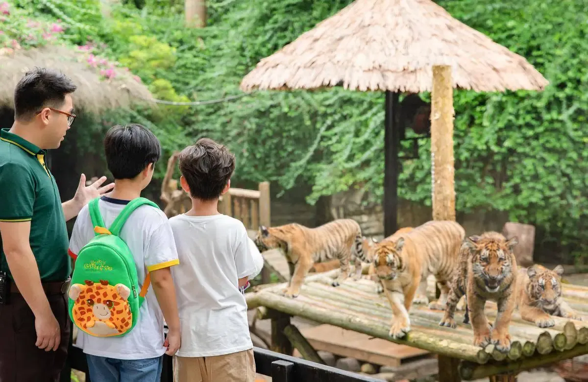 Meet and interact with animals in Chimelong Safari Park