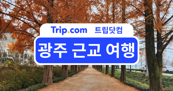 광주 근교 여행, 주말에 가볍게 다녀오기 좋은 남도 감성 스팟✨